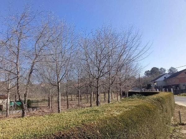 Terreno en Pereiro de Aguiar thumbnail 2