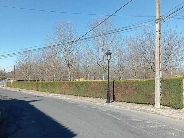 Terreno en Pereiro de Aguiar thumbnail 2