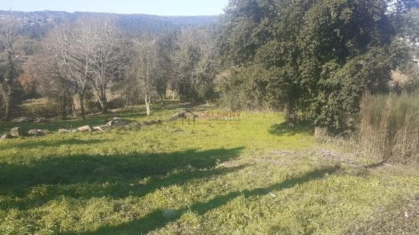 Terreno en San Cibrao das Viñas photo 1