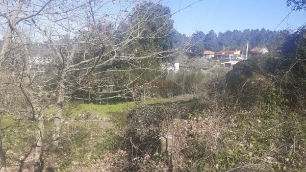 Terreno en San Cibrao das Viñas thumbnail 1