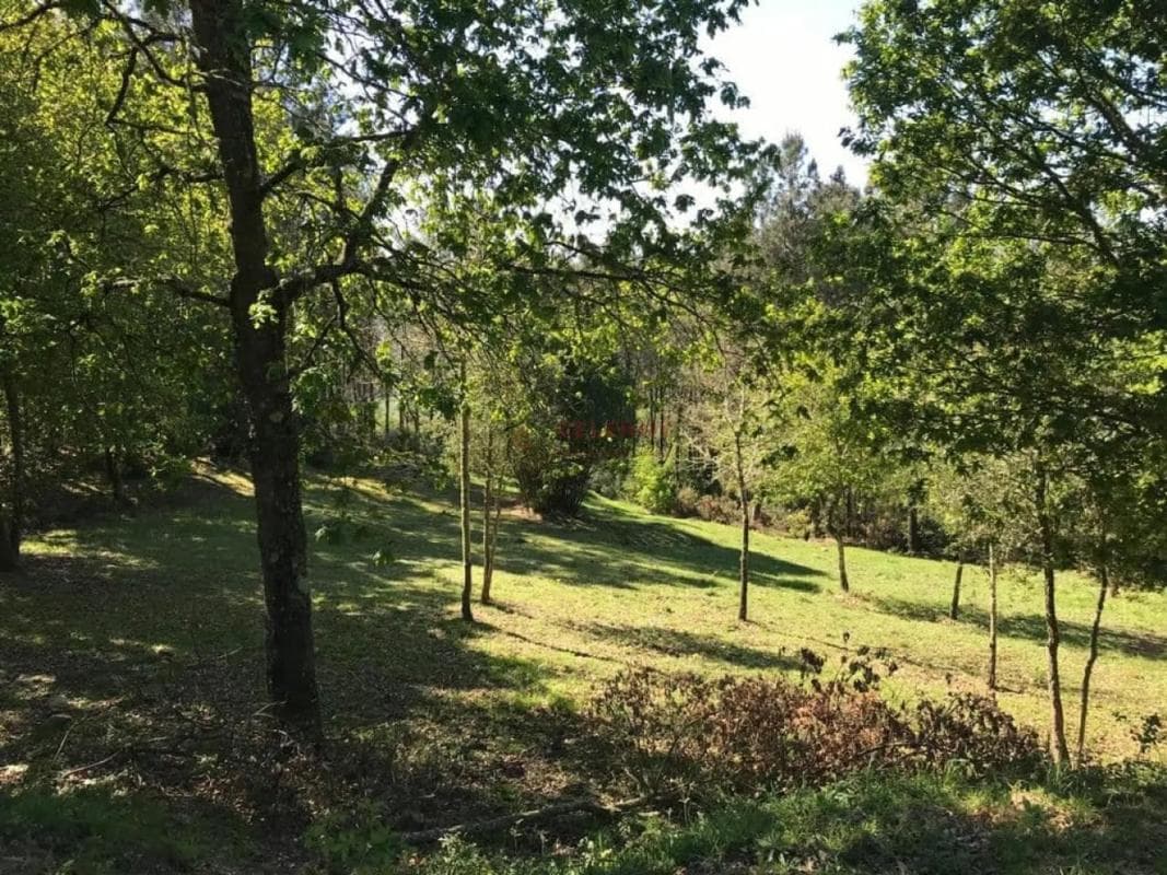 Terreno en venta en Pereiro de Aguiar, Ourense photo 4