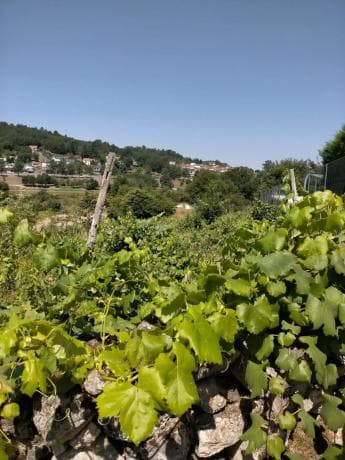 Terreno en Pereiro de Aguiar photo 1