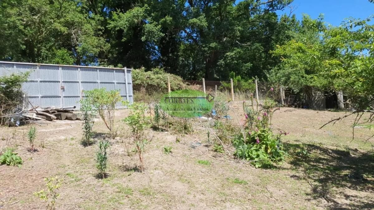 Land for sale in Ourense, Ourense photo 4