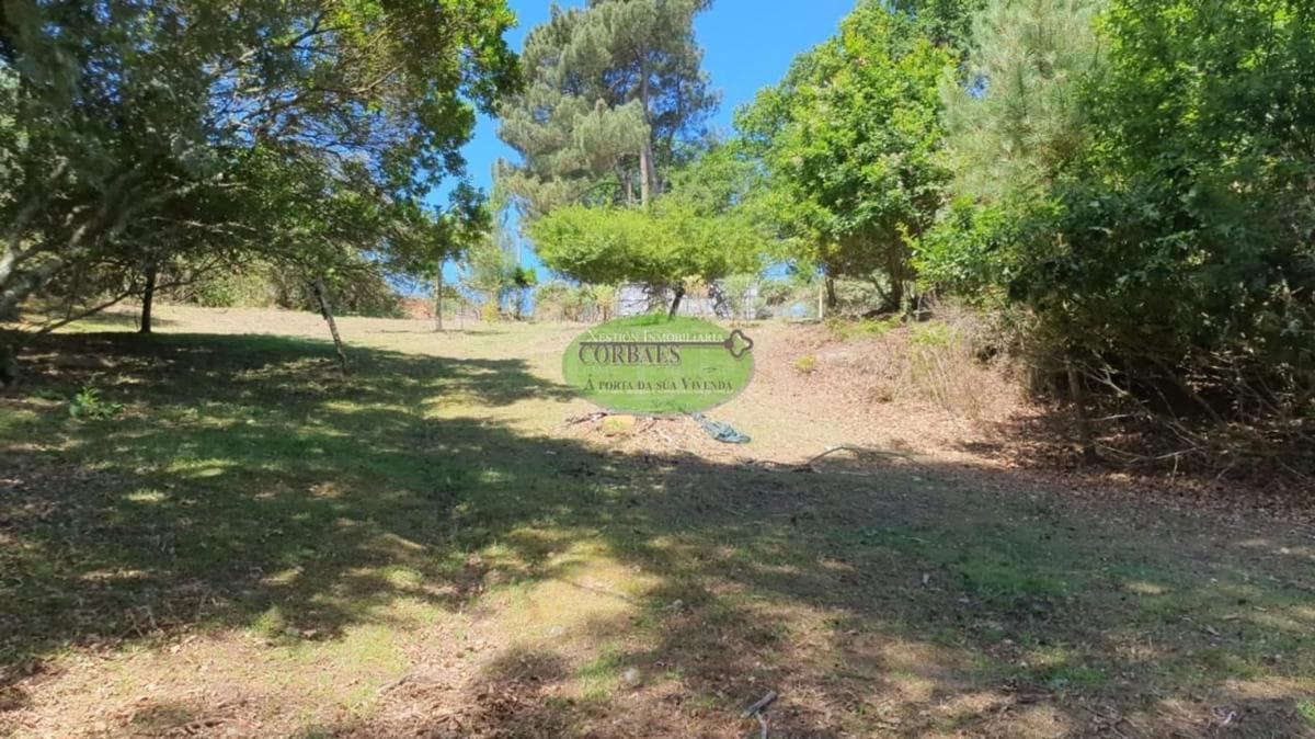 Land for sale in Ourense, Ourense photo 5