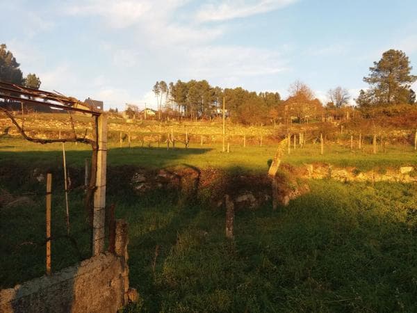Terreno en Cm Marco Do-o Campo De Santa s/n thumbnail 2