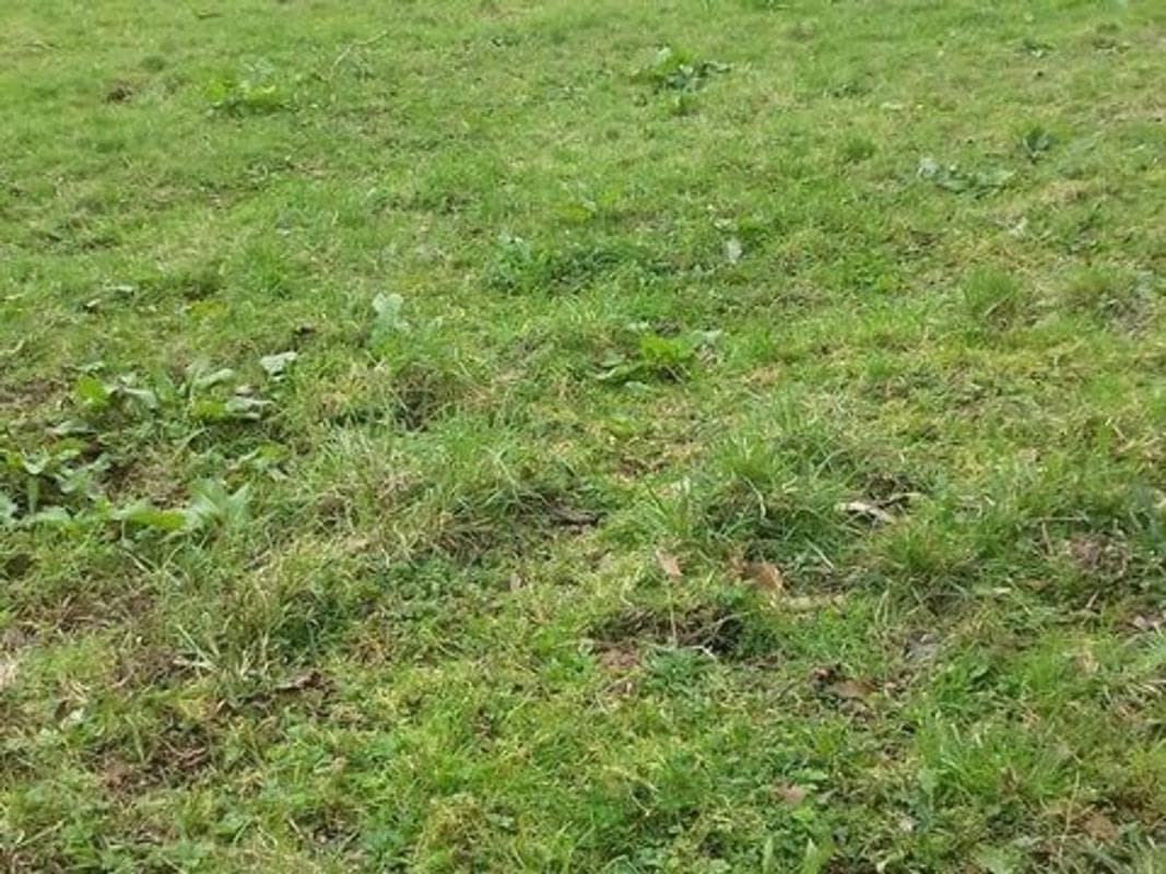 Terreno en venta en Mejorada del Campo, Madrid photo 2