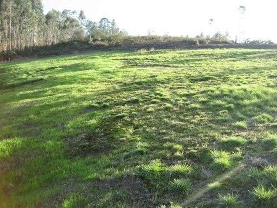 Terreno en venta en Mejorada del Campo, Madrid photo 3