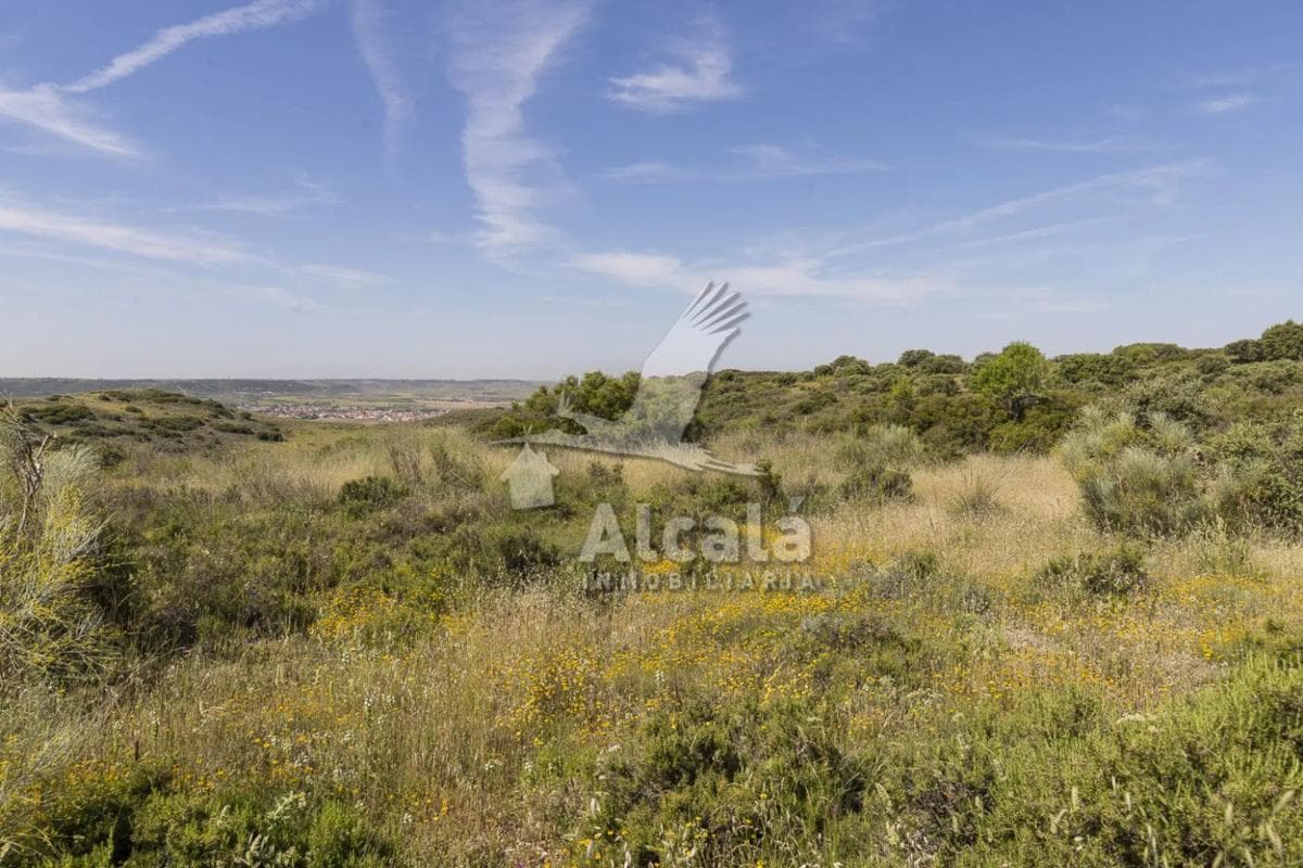 Terreno en venta en Villalbilla, Madrid photo 4