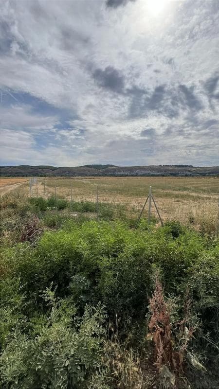 Terreno en venta en San Fernando de Henares, Madrid photo 2