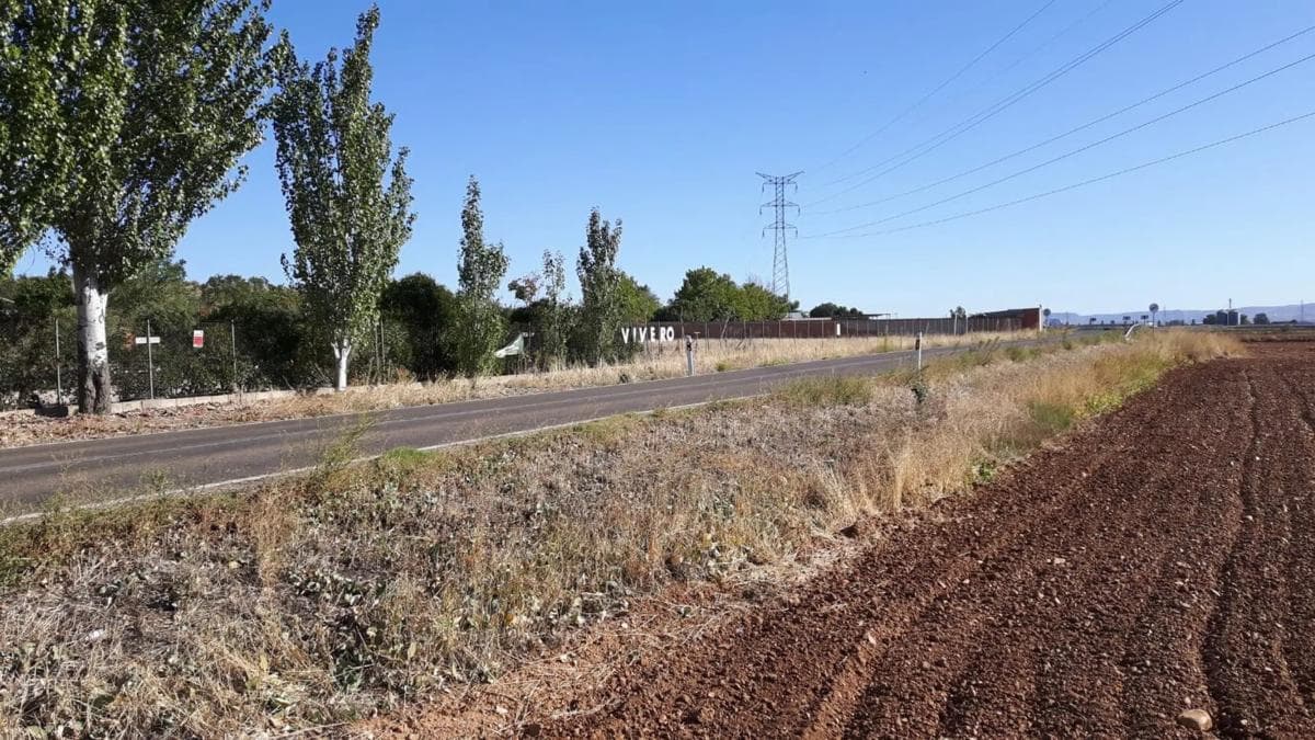 Terreno en venta en Meco, Madrid photo 2