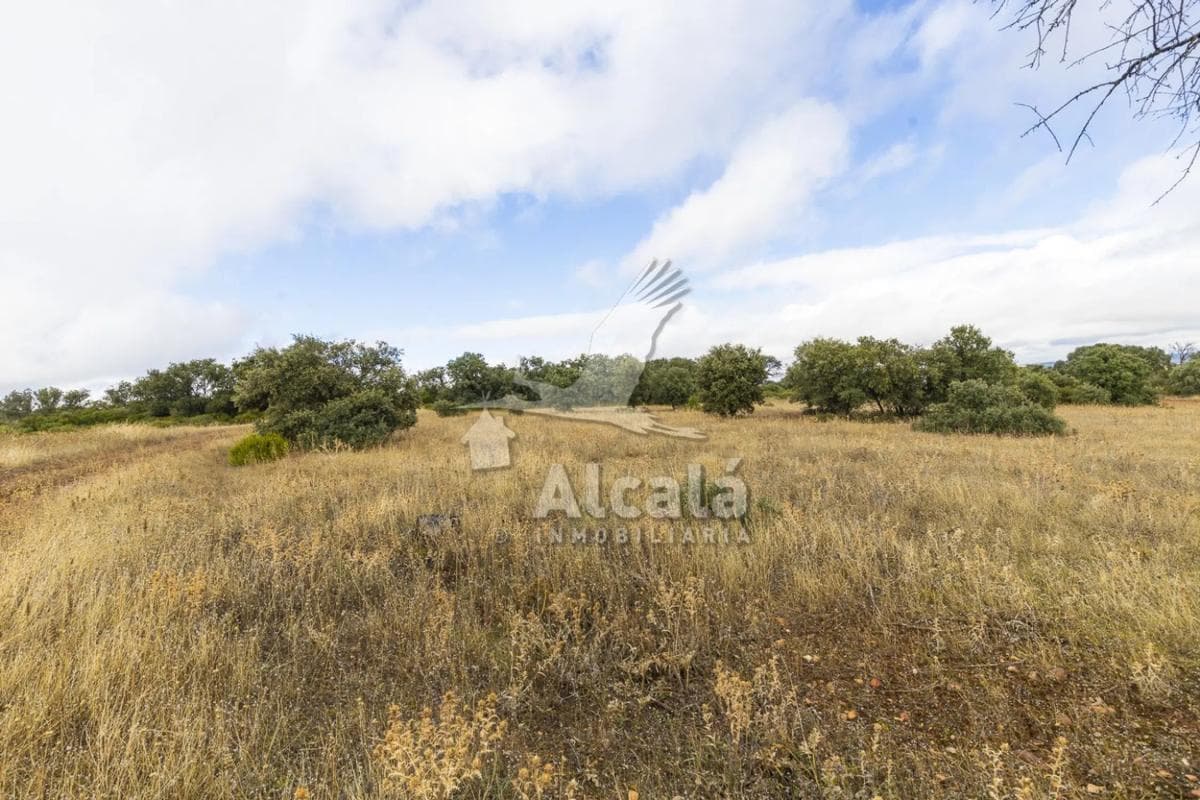 Terreno en venta en Villalbilla, Madrid photo 3