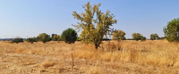 Terreno en carretera Ajalvir Centro Comercial s/n thumbnail 2