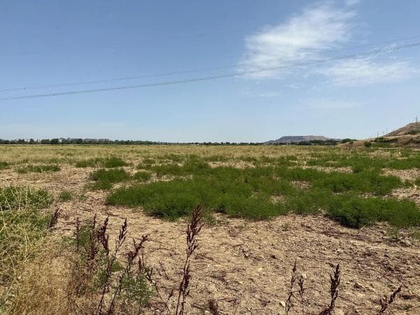 Terreno en Noroeste photo 2
