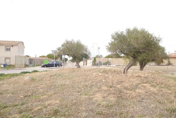 Terreno en Jilguero s/n photo 1