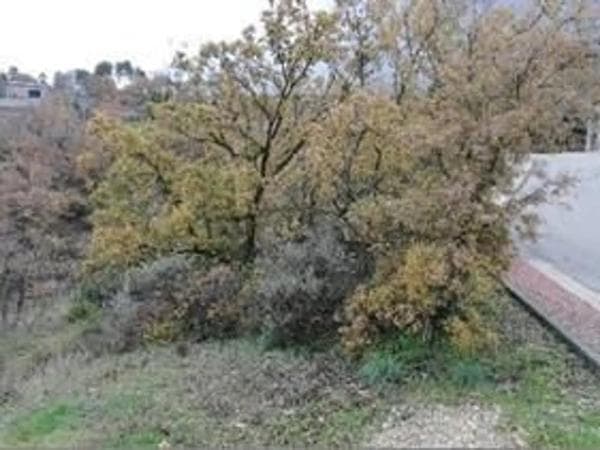 Terreno en calle Fresno photo 1