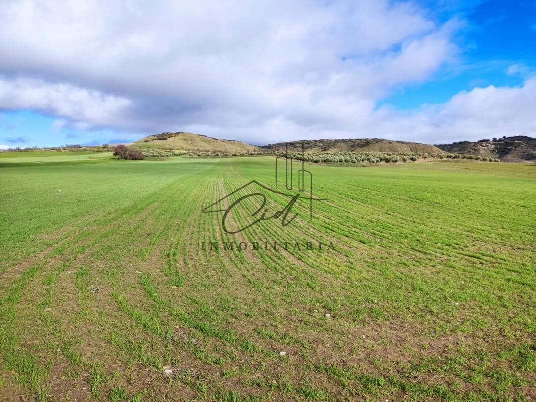 Terreno en venta en Anchuelo, Madrid photo 2