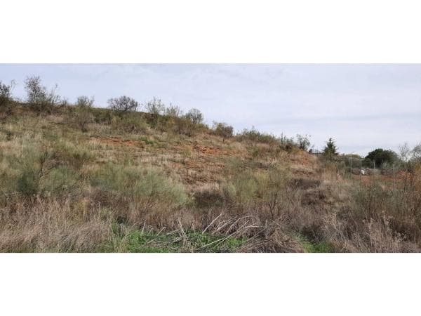 Terreno en Camarma de Esteruelas photo 1