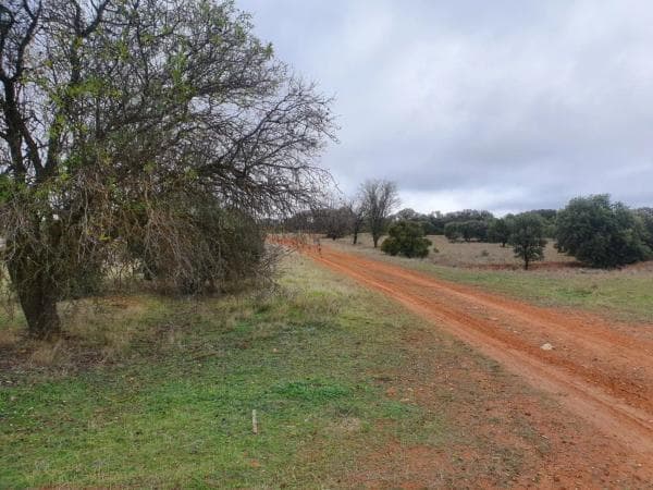 Terreno en Villalbilla photo 3