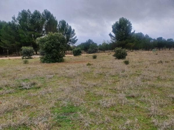 Terreno en Villalbilla photo 4