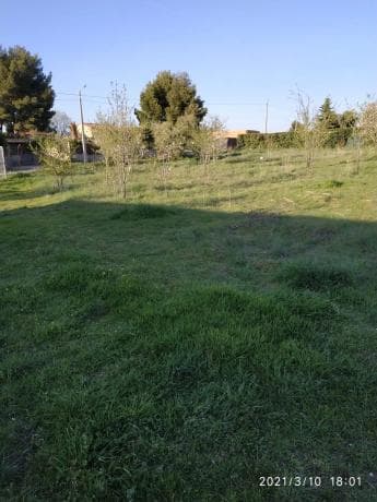 Terreno en calle de las Amapolas s/n Sn thumbnail 1