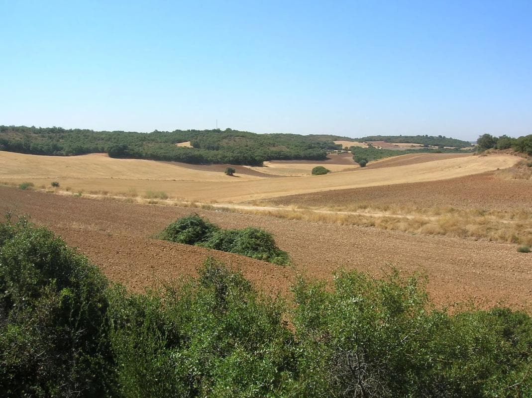 Land for sale in Los Santos de la Humosa, Madrid photo 2