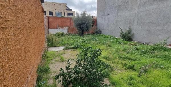 Terreno en calle Mayo photo 4