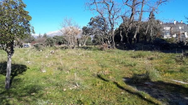 Terreno en avenida de los Canteros, 66 thumbnail 2