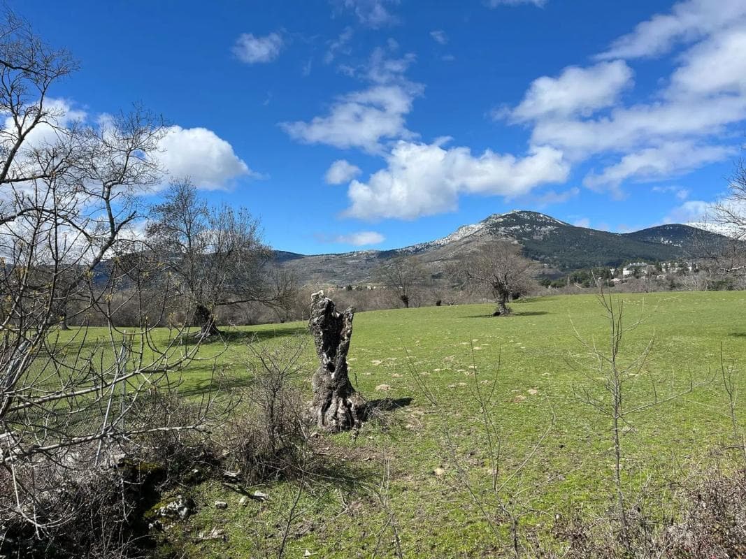 Terreno en venta en Cercedilla, Madrid photo 3