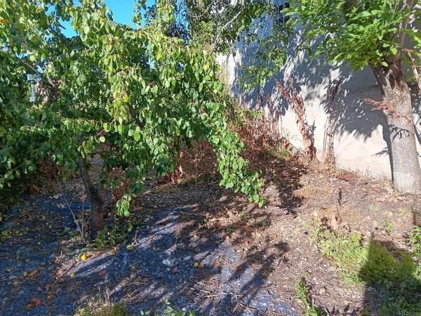Terreno en calle Linares, 7 photo 4