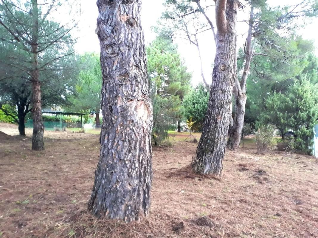 Terreno en venta en Collado Mediano, Madrid photo 5