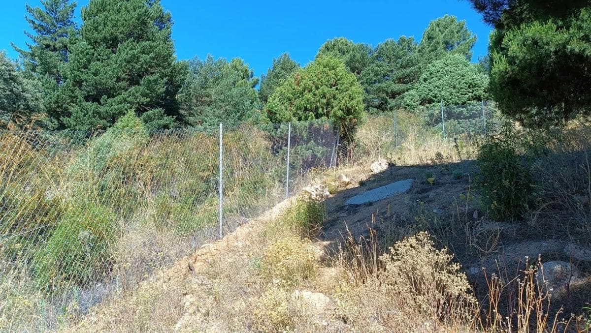 Terreno en venta en Collado Mediano, Madrid photo 4