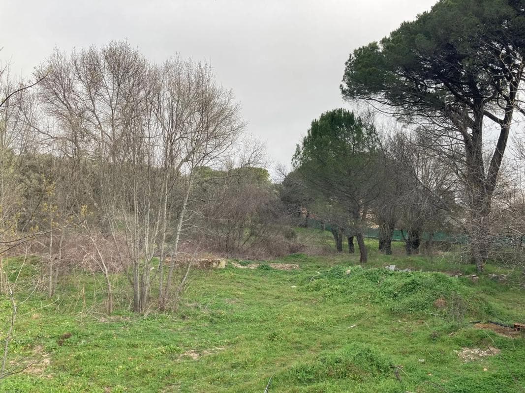 Terreno en venta en Collado Mediano, Madrid photo 4
