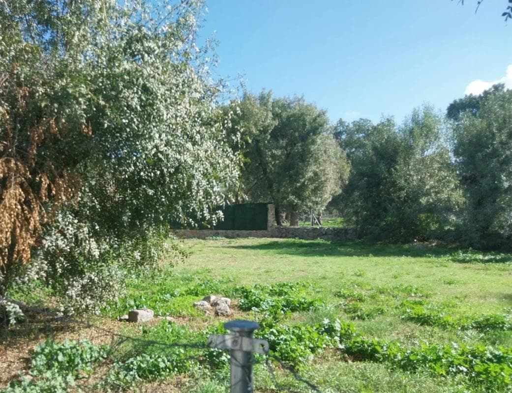 Terreno en venta en Collado Villalba, Madrid photo 5