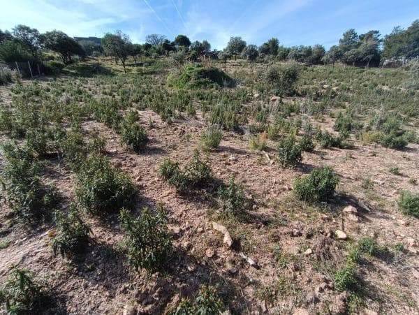 Terreno en calle Prados del Arroyo, 156 thumbnail 2