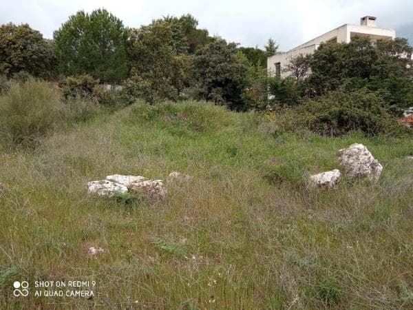 Terreno en Puerto de la Cruz Verde, 12 thumbnail 1