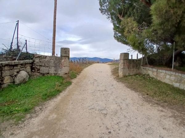 Terreno en calle Media Luna photo 4