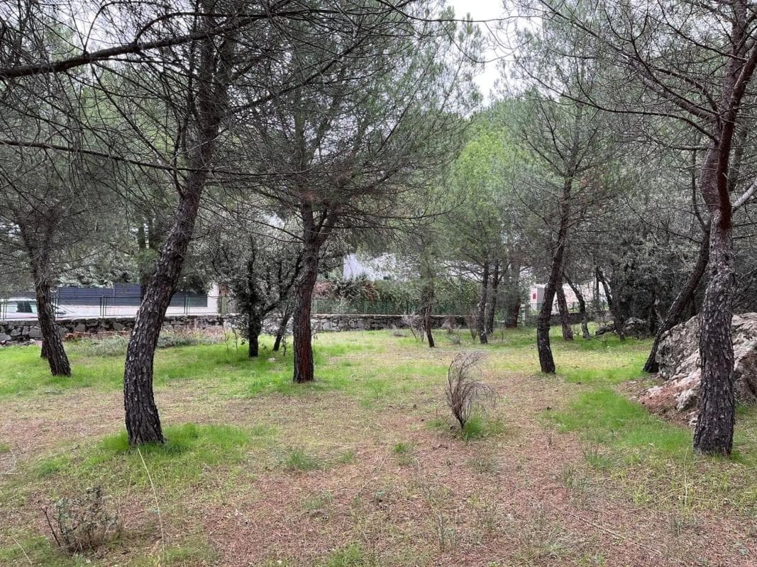 Terreno en venta en Guadarrama, Madrid photo 4