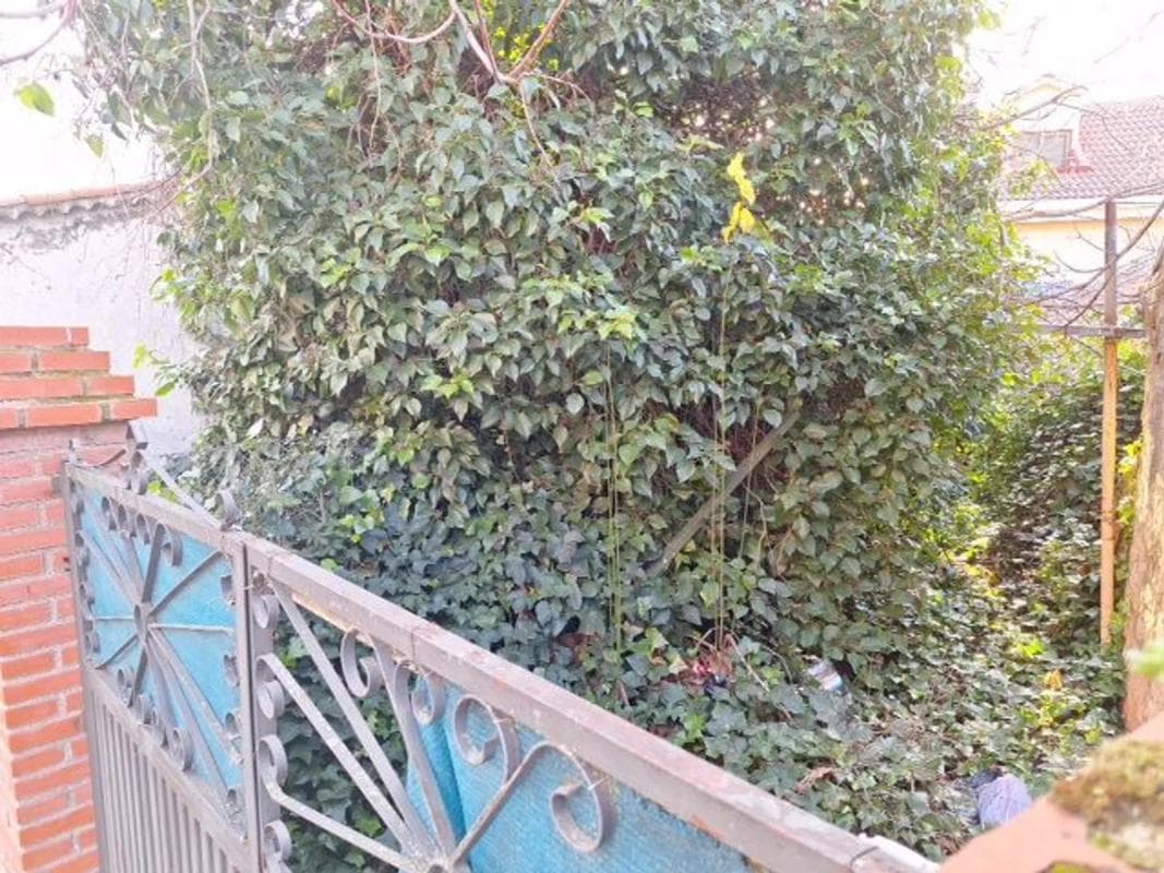 Terreno en venta en Moralzarzal, Madrid photo 3