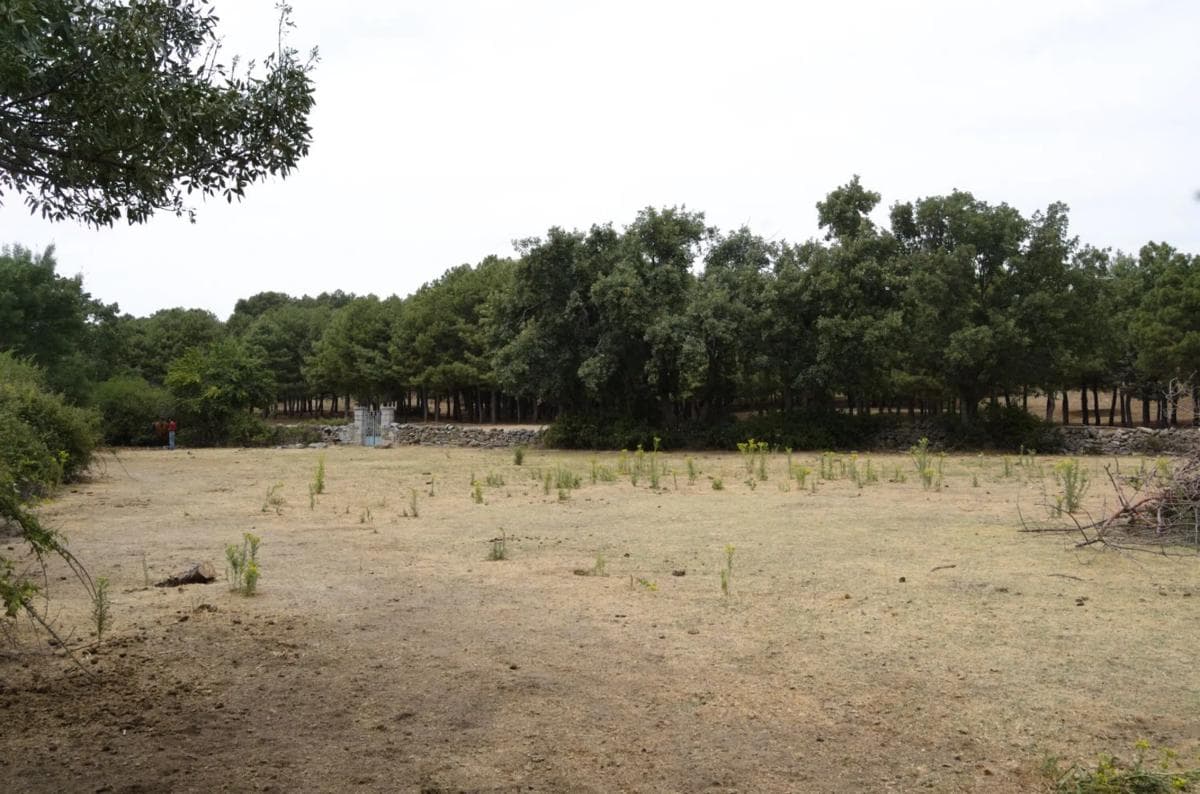 Terreno en venta en Moralzarzal, Madrid photo 3