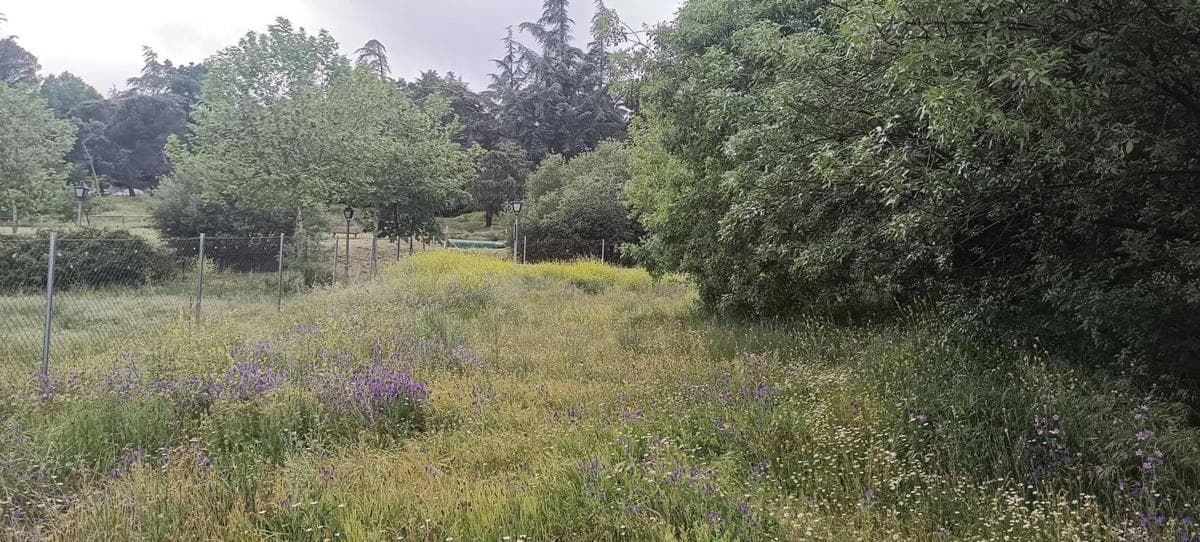 Terreno en venta en Navacerrada, Madrid photo 5