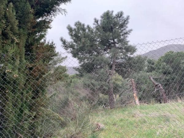 Terreno en Abantos - Carmelitas photo 1