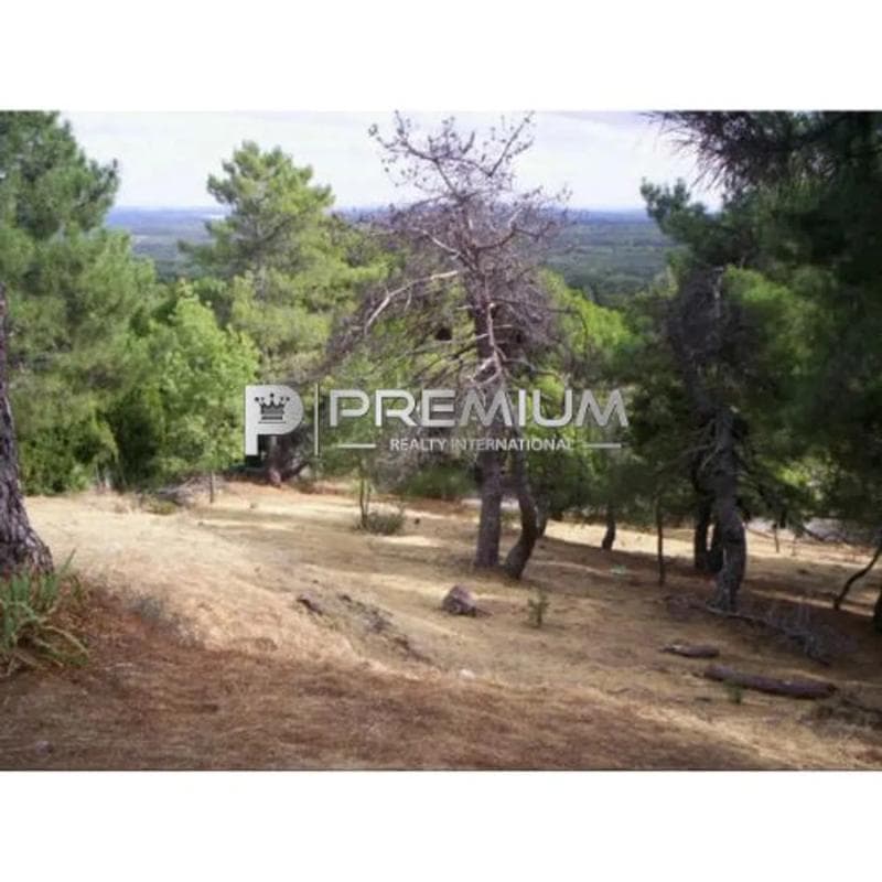 Terreno en venta en San Lorenzo de El Escorial, Madrid photo 2