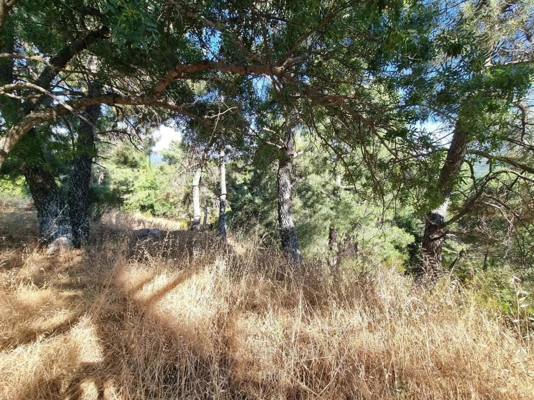 Terreno en venta en San Lorenzo de El Escorial, Madrid photo 3