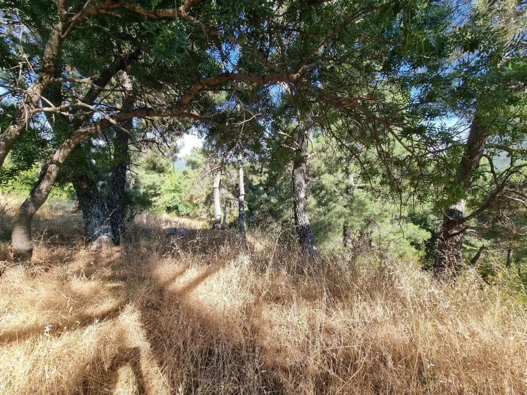 Terreno en venta en San Lorenzo de El Escorial, Madrid photo 4
