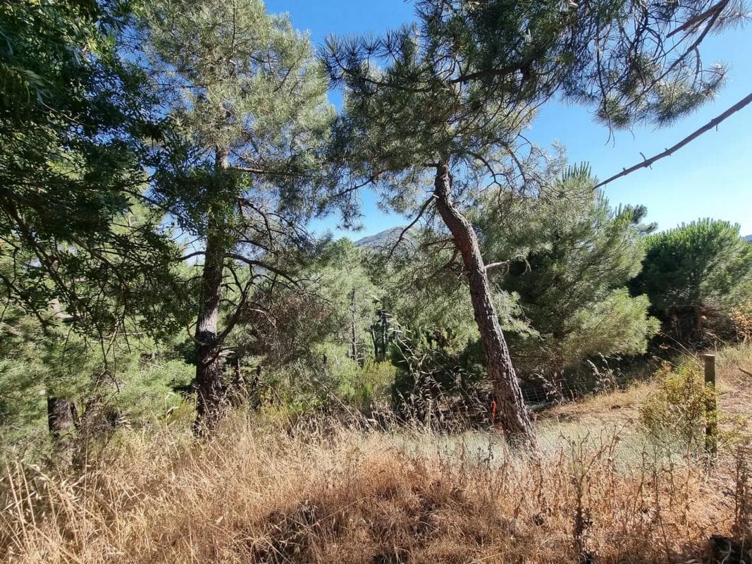 Terreno en venta en San Lorenzo de El Escorial, Madrid photo 5