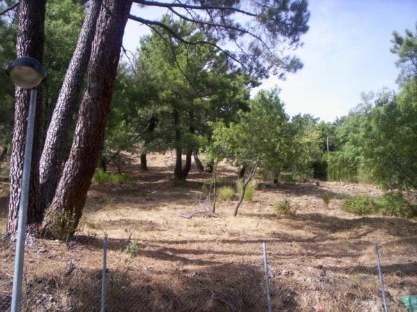Terreno en calle los Nogales, 4 photo 1