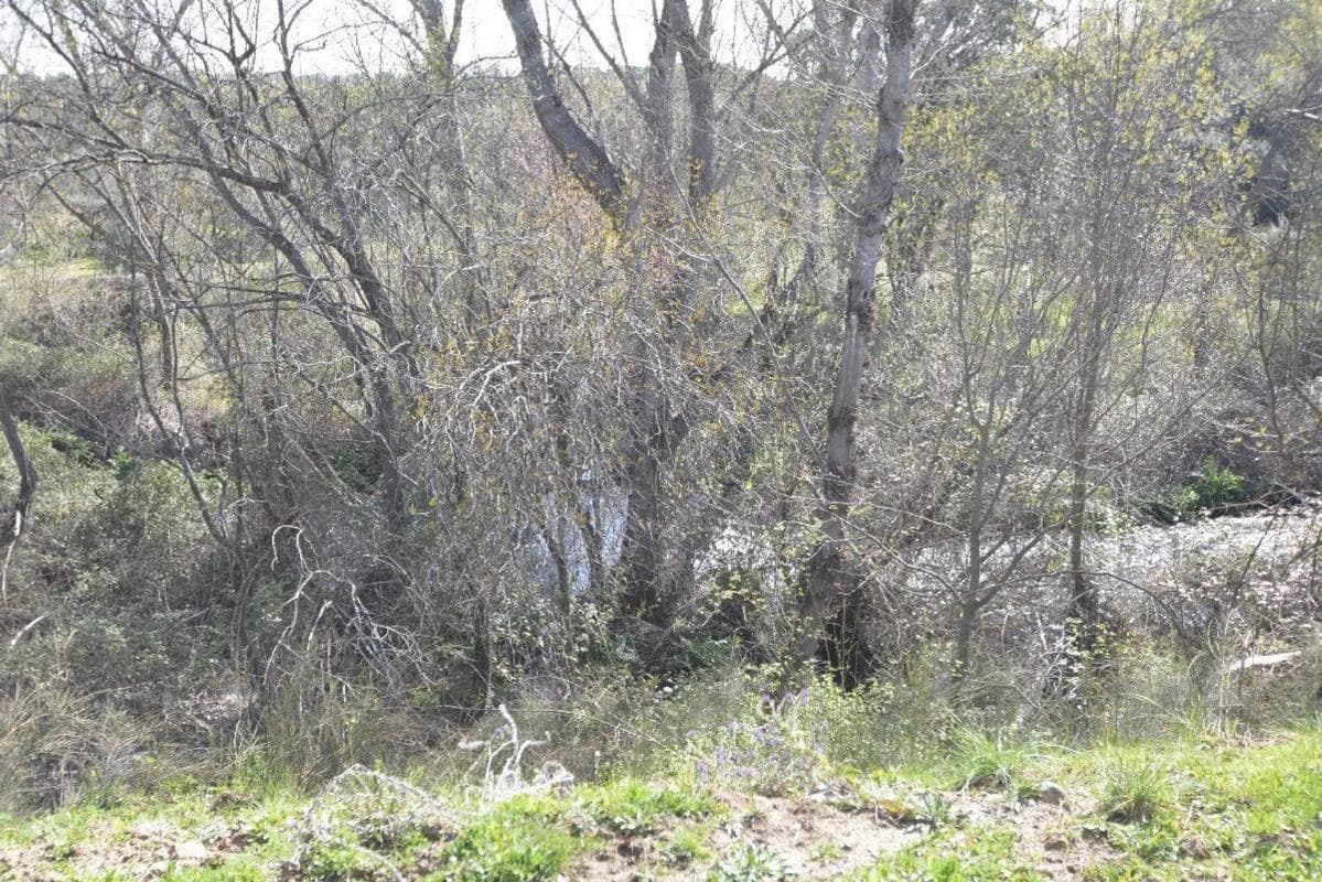 Terreno en venta en Valdemorillo, Madrid photo 2