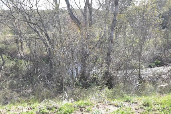 Terreno en Pino Alto - Navarredonda thumbnail 1