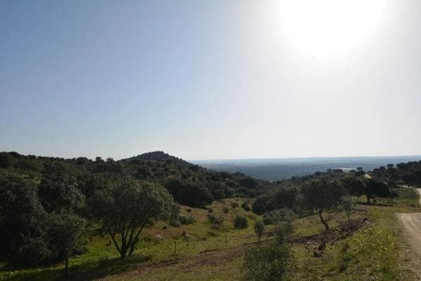 Terreno en Pino Alto - Navarredonda thumbnail 2