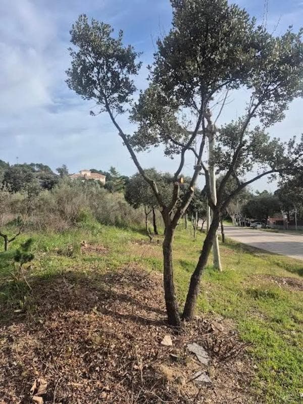 Terreno en venta en Valdemorillo, Madrid photo 2